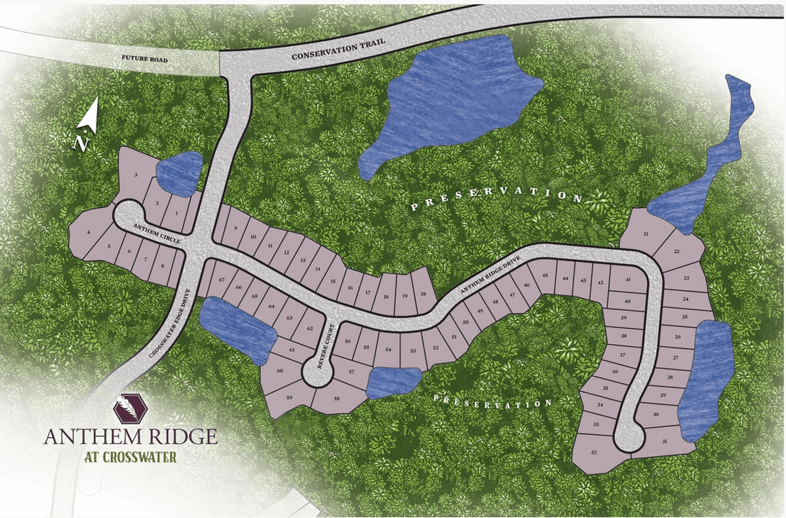 Anthem Ridge at Crosswater Nocatee FL 32081 Plat Map